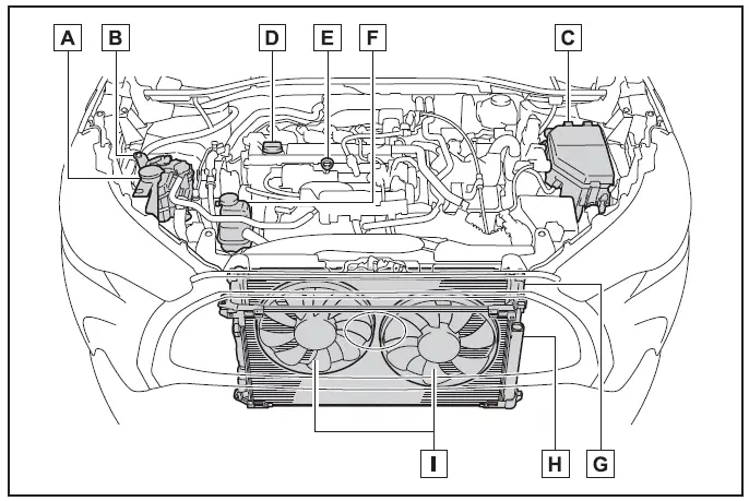 Motorraum